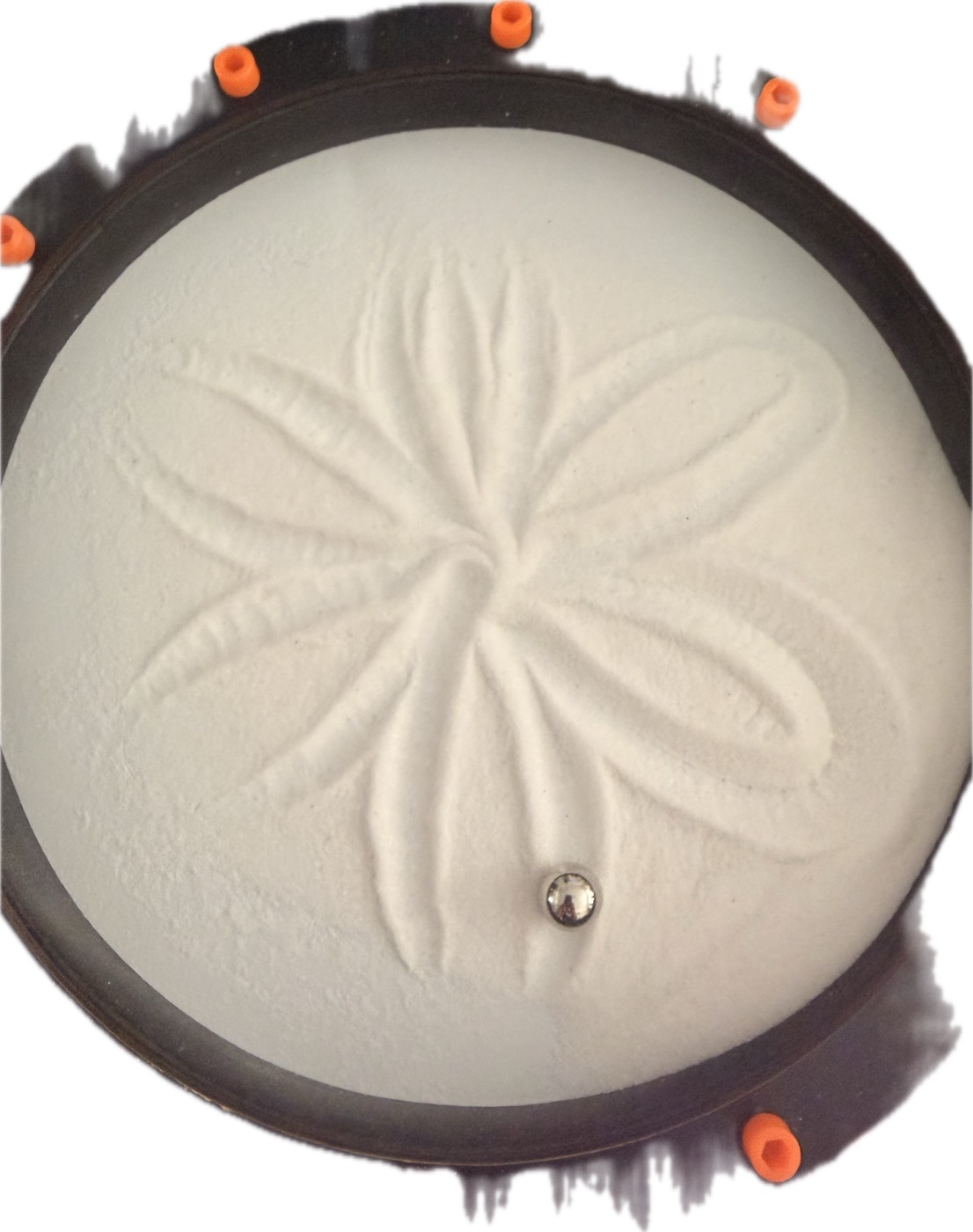A rose in white sand whose petals have fanned out and layered into a
lily-like bloom as the pattern rotated.